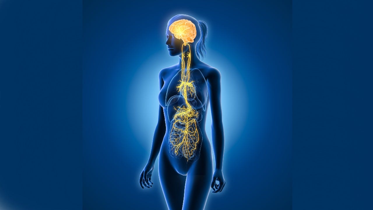 Proprioception & The Vagus Nerve: How Closing Your Eyes in Balancing Poses Changes Your Brain For Better